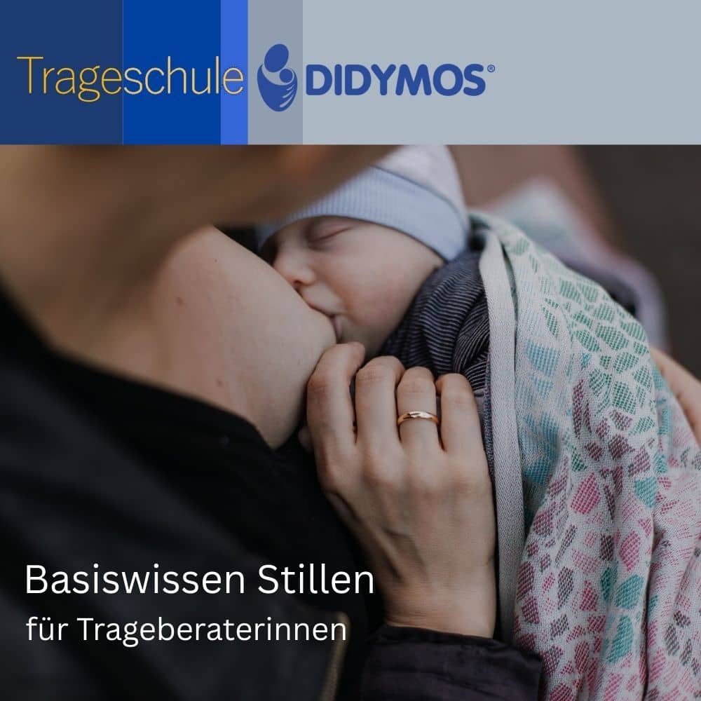 90-Minuten-DIDYMOS - Basiswissen Stillen in der Trageberatung