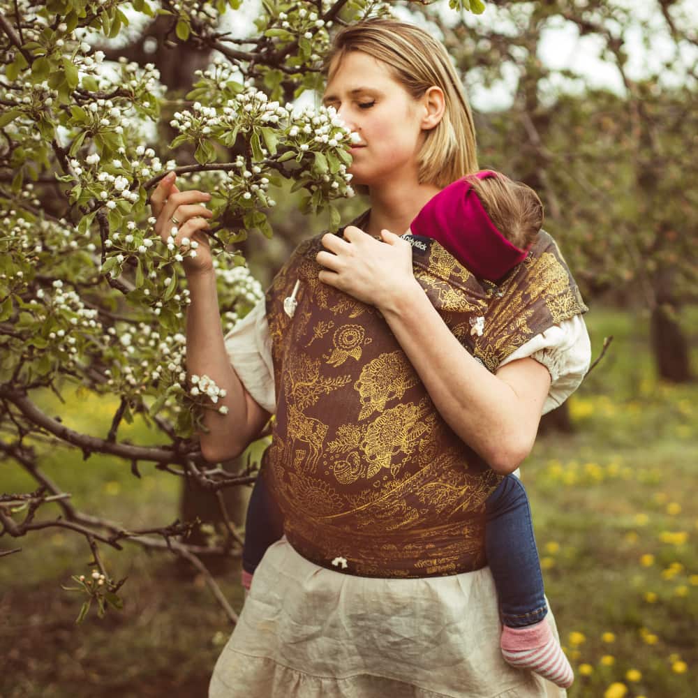 DidyKlick Magic Forest Harvest DidyKlick Magic Forest Harvest