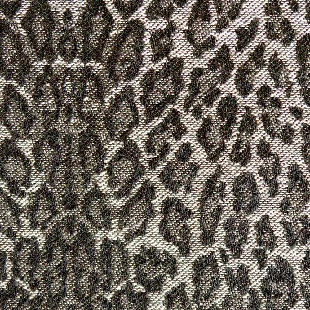 DidyGo Leo DidyGo Leo