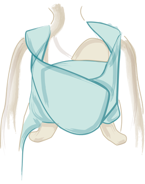 DIDYMOS  Fascia in Jersey